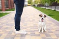 A man and a dog walk in the park. Sports with pets. Fitness animals. The owner and Jack Russell are walking down the street, an ob