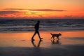 Man and dog walking at sunset Royalty Free Stock Photo