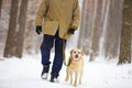 Man with the dog walks in the snowy forest Royalty Free Stock Photo