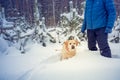 A man with a dog walks in a snowy winter forest Royalty Free Stock Photo