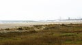 Man with dog on a windy day on the beach of Castelldefels Royalty Free Stock Photo