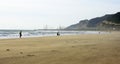 Man with dog on a windy day on the beach of Castelldefels Royalty Free Stock Photo