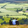 Man and dogs Royalty Free Stock Photo