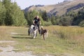 man and dogs mushing bike in green summer field Royalty Free Stock Photo