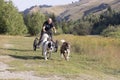 man and dogs mushing bike in green summer field Royalty Free Stock Photo