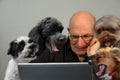Man and dogs n homeoffice Everyone wants to have a loud say