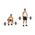 Man doing Barbell deadlifts exercise. Flat vector Royalty Free Stock Photo