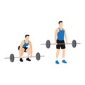 Man doing Barbell deadlifts exercise. Flat vector Royalty Free Stock Photo