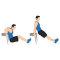 Man doing bench tricep dips flat vector