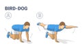 Man doing bird dog exercise to train his core guidance. Male workout position for abs illustration.