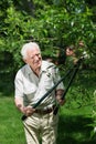 Man doing garden work Royalty Free Stock Photo