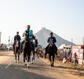 Man doing horse rideing at pushkar camel festival