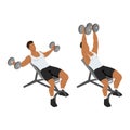 Man doing Incline dumbbell fly exercise. Flat vector illustration Royalty Free Stock Photo