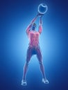 A man doing a kettlebell workout Royalty Free Stock Photo