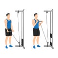 Man doing Straight bar low pulley cable curl. Flat vector