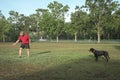 Man doing training with his dog on the field Royalty Free Stock Photo