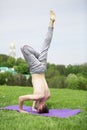 Man doing yoga exercises in the park Royalty Free Stock Photo