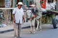 Man with Donkey & Cart, Tozeur, Tunisia