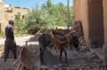 Man and donkey in Kharanagh Village, Iran Royalty Free Stock Photo