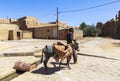 Man and donkey in Kharanagh Village, Iran Royalty Free Stock Photo