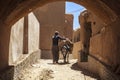 Man and donkey in Kharanagh Village, Iran Royalty Free Stock Photo