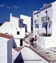 Man with donkey on village street, Frigiliana.