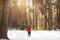 A man drags a felled tree for Christmas and New Year. He goes to the car through the winter forest. Image with selective