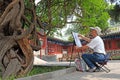 A man draws an ancient tree supposed to be over 300 years old in the temple of Confucius, Beijing, China