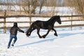 Man dressage black frisian horse