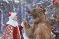 High five between man and brown bear