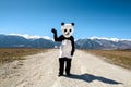 Man dressed in a panda he greets himself suit on an empty road against a background of mountains. Royalty Free Stock Photo