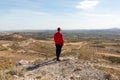 A man contemplates landscape