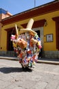 Man dressed in a traditional Tiliche costume during the parade in Oaxaca, Mexico