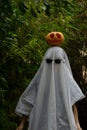 Man dressed in a white ghost costume with sunglasses and carved pumpkin atop his head for Halloween