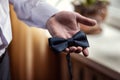 Man dresses a butterfly,man butterfly clothes,businessman putting on bow tie. Suit, Han Royalty Free Stock Photo