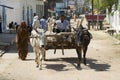 Man drives bull cart in Orchha, India.