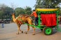 Man driving camel cart for tourists in Taj Ganj neighborhood of