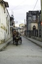 .man driving a cart with horse in Cuba Royalty Free Stock Photo