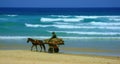 Man with horse and carriage on the beach while collecting wood in Dakar, Senegal