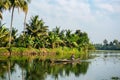 A man driving the slick fishing boat in backwaters of Kerala having lush green palm trees in background