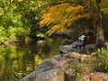 Man at Duck Pond in Autumn Royalty Free Stock Photo