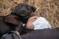 Man dying from coronavirus and his dog laying next to him. Victim of COVID 19 pandemic, Man with mask for Corona virus fighting