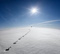 Man, Earth, Universe. Lonely Man Walking On Snow Crust Field On The Trail Of Hare At The Background Of The Sun And Flying Plane. A