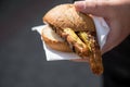 Man eating a couple of grilled Bavarian Bayreuth Bratwurst pork sausage with mustard in wheat bread bun of German food marked Royalty Free Stock Photo