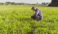 The man ecologist making notes in the diary Royalty Free Stock Photo