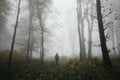 Man in enchanted autumn woods with mysterious fog