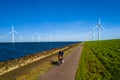A man energetically cycling down a path lined with wind turbines in the Netherlands Royalty Free Stock Photo