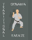 The man is engaged in karate . Royalty Free Stock Photo