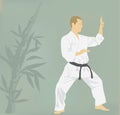 the man is engaged in karate. Royalty Free Stock Photo