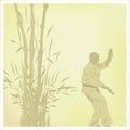 the man is engaged in karate. Royalty Free Stock Photo